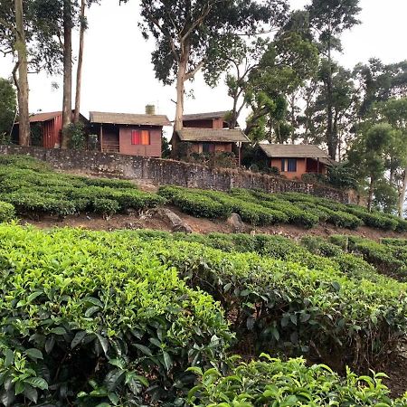 Holacasa Cottages Munnar Zewnętrze zdjęcie