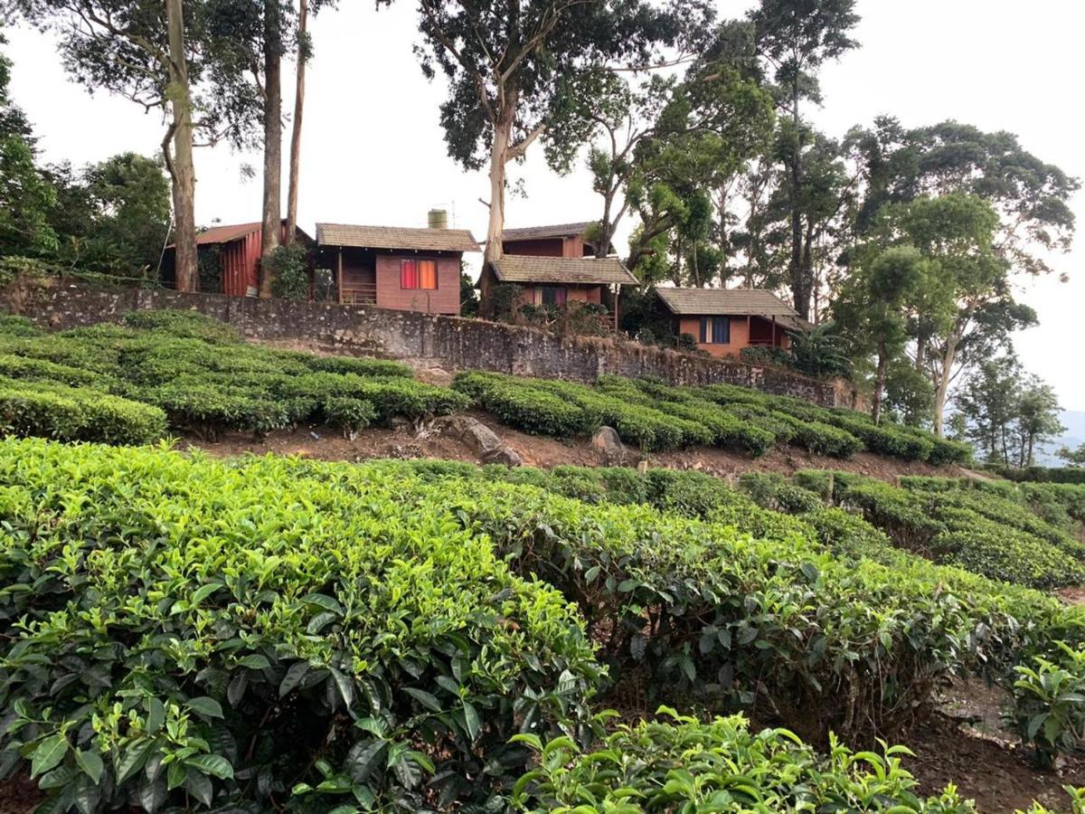 Holacasa Cottages Munnar Zewnętrze zdjęcie